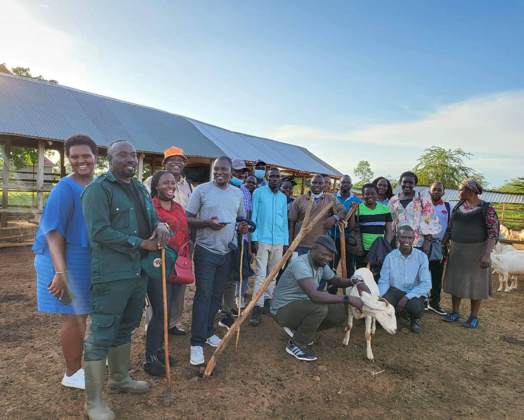Farm activities